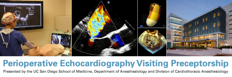 Perioperative Echocardiography Visiting Preceptorship Banner